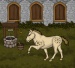 Pony Dress Up