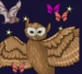 ~Owl Creator~