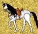 My horse
