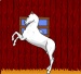 Aurora Horse Dress-up