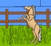 Horse Test
