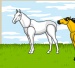 Horse Dress Up