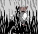 Fenri Sprite Maker