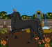 horsies
