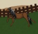 Horse Creator